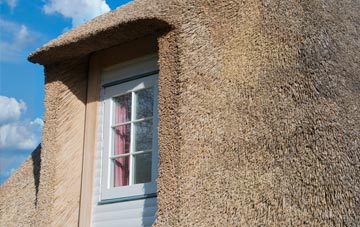 Turmer thatch roof disadvantages